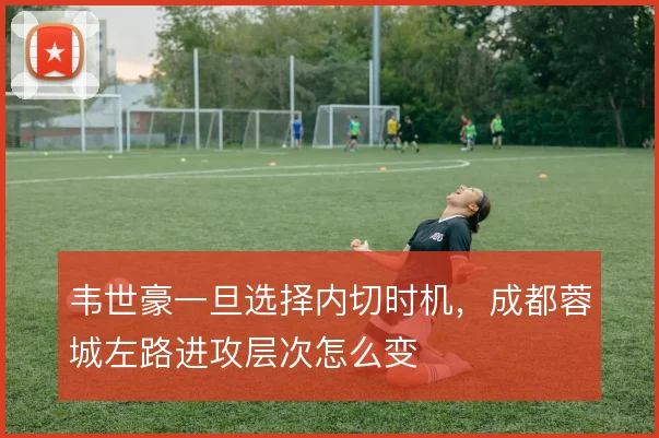 韦世豪一旦选择内切时机，成都蓉城左路进攻层次怎么变